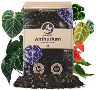 SYBASoil - Anthurium mix 5L - Turfvrije Potgrond Mix - 6 Maanden Voeding