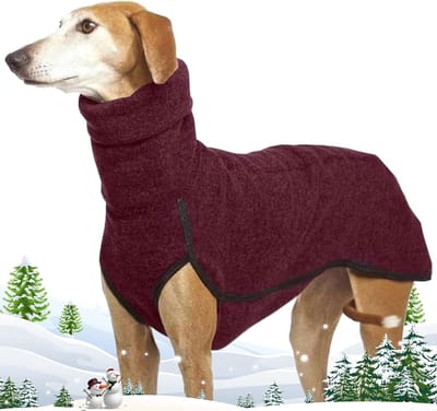 KZQ Warme Fleece Trui voor Whippet en Greyhound - Dikke Gevoerde Hondenjas tegen Kou als Binnenshuis Buitenkleding voor Windhonden - Zacht Fleecevest voor Honden in Maat 2XL