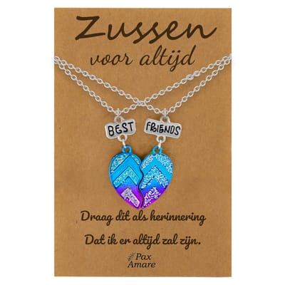 BFF Ketting voor 2 'Zussen voor altijd' - Magnetisch Best Friends Hartje - Vriendschapsketting op Cadeau Kaartje - 45cm + 5cm verstelbaar - Zilverkleurig - Sisters Hanger - Pax Amare