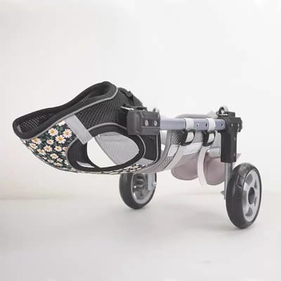 Hondenrolstoel Achterpoten - Huisdier Revalidatiekar - Mobiliteit Herstellen - Lichtgewicht Aluminium - Verstelbaar - Grijs