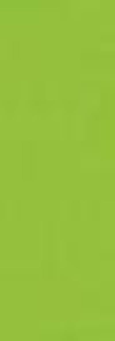 Folia Fotokarton licht groen 50X70-300G