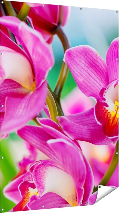 Gards Tuinposter Licht Paarse Orchidee Bloemen - 120x180 cm - Tuindoek - Tuindecoratie - Wanddecoratie buiten - Tuinschilderij