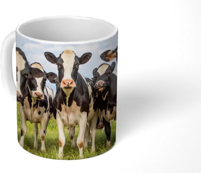 Mok - Koffiemok - Koeien - Weiland - Dieren - Natuur - Gras - Mokken - 350 ML - Beker - Koffiemokken - Theemok