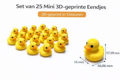 BM Roozeboom MiniDuck - Mini Eendjes - Set van 25 - 3D Geprint - 3 Kleuren
