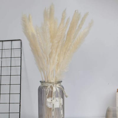 Gedroogde bloemen - Rietgras decoratie - Woonkamer aankleden - Natuurlijk & lang houdbaar - 55 cm lang - Natuurlijk beige