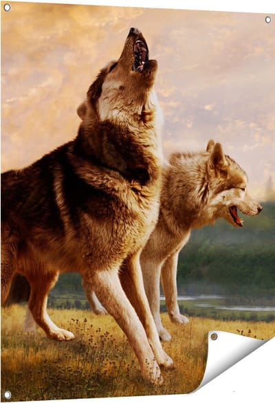 Gards Tuinposter Twee Wolven op het Gras - 80x100 cm - Tuindoek - Tuindecoratie - Wanddecoratie buiten - Tuinschilderij