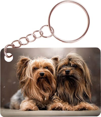 Sleutelhanger 6x4cm - Yorkshire Terrier Hond