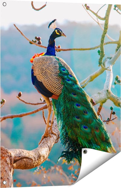 Gards Tuinposter Pauw in de Bomen - 60x80 cm - Tuindoek - Tuindecoratie - Wanddecoratie buiten - Tuinschilderij