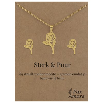 Stainless Steel Roos Ketting + Oorbellen Setje op Cadeau Kaartje - Sterk & Puur - 45 cm ketting & ± 10x10mm Oorknopjes - Zilverkleurig Roestvrij Staal - Pax Amare