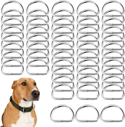 D-Ringen van RVS, 30 x 25 mm, voor rugzakken, riemen en handtassen - Duurzame metalen bevestigingen voor knutselprojecten en accessoires