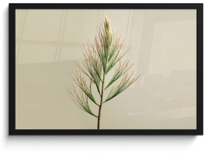 Poster in lijst - Fotolijst 60x40 cm - Posters - Dennentak - Naaldvormige bladeren - Lichtgroen - Posterlijst zwart - Decoratie - Wanddecoratie woonkamer - Muurdecoratie slaapkamer