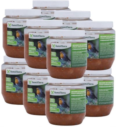Famiflora vogelpindakaas bosvruchten 12x 350GR - Pindakaas voor vogels - Met bosvruchten voor een lekkere smaak die vogels aantrekt - Geschikt voor alle tuinvogels zodat je tuin vol leven komt