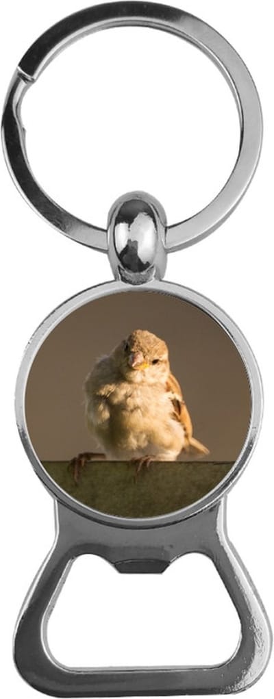 Bieropener Glas - Vogel