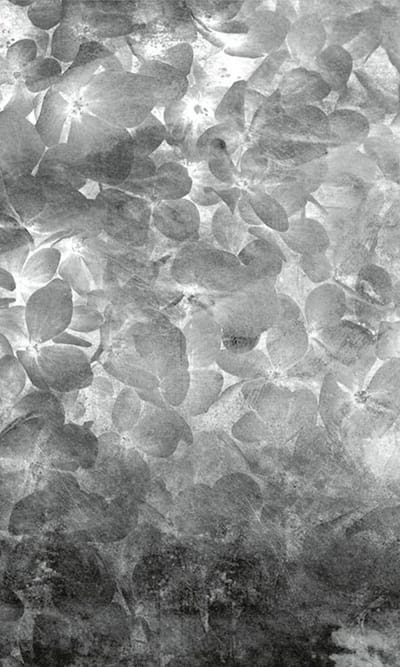 Fotobehang - Apple Tree Abstract II 150x250cm - Vliesbehang