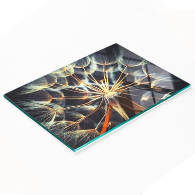 Keukenplank van gehard glas met decoratieve paardenbloemafbeeldingen, 80x52 cm
