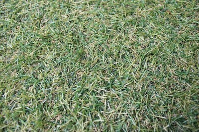 kunstgras - 20 mm - 1x4 m - hoogwaardig kunstgras - uv bestendig - voor binnen, buiten en balkon - grastapijt