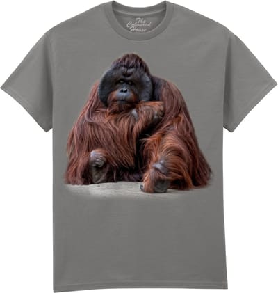 Orangoetan Wisdom Beyond Words - Orangutan The Coloured House T-shirt M