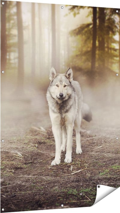 Gards Tuinposter Grijze Wolf in het Bos - 100x150 cm - Tuindoek - Tuindecoratie - Wanddecoratie buiten - Tuinschilderij