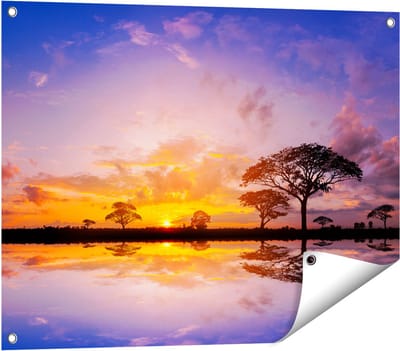 Gards Tuinposter Silhouet van Bomen tijdens Zonsondergang - 80x60 cm - Tuindoek - Tuindecoratie - Wanddecoratie buiten - Tuinschilderij