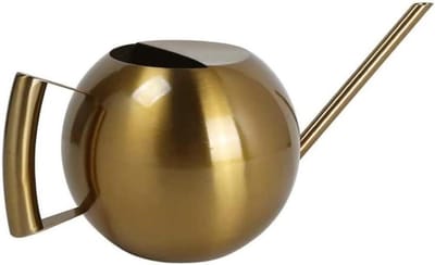 Gieter Roestvrij Staal - Waterkannetje Planten - Planten Water Geven - Lange Nauwkeurige Uitloop - 1000 ml - Goud
