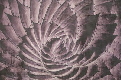 Fotobehang - Cactus Abstract 375x250cm - Vliesbehang