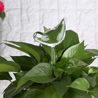 Glazen automatische watergieter voor planten - 4 leuke vormen (vogel, slak, zwaan, kever)