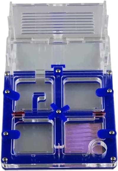 Mierenboerderij Habitat - Mieren Kweekset - Mieren Bestuderen - Hydraterend Display - 12 x 11.7 x 14.8 cm - Blauw