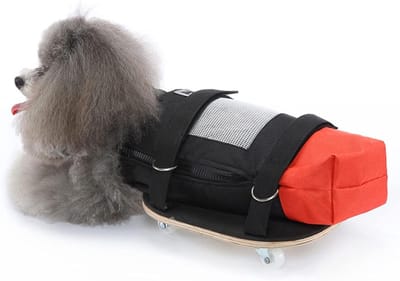 Huisdier Rolstoel - Hondenloopwagen - Ondersteuning Achterpoten - Stille Universele Wielen - Voor 2-3.5 kg - Zwart