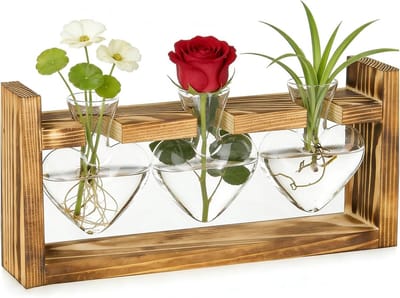 Glazen Plant Propagatiestation met Houten Stand voor Thuis en Kantoor - Perfecte Decoratie voor Vensterbank en Tafel, Origineel Cadeau voor Verjaardag en Plantenliefhebbers