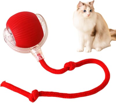 MDUG Interactief kattenspeelgoed - Rood - Geschikt voor binnenkatten - Slim automatisch kattenspeelgoed met bal - Geschikt voor volwassen huisdieren die binnen leven