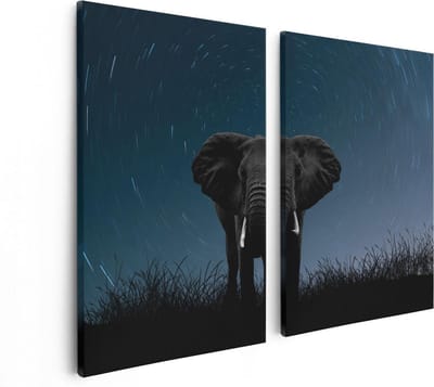 Artaza Canvas Schilderij Tweeluik Olifant Omringd Met Sterren  - 80x60 - Foto Op Canvas - Canvas Print