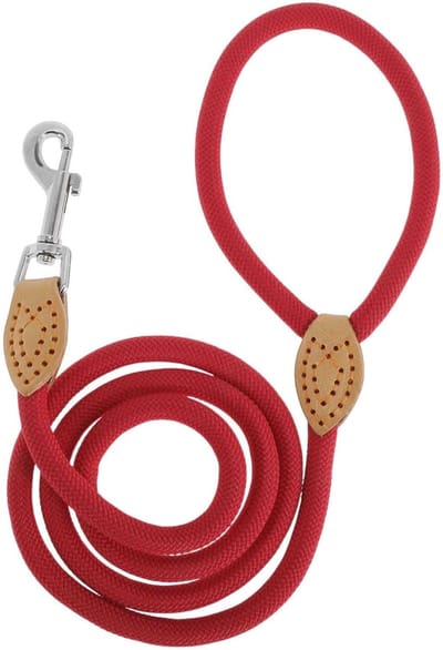 Dailygoods- Hondenriem 1,25 m - Gevlochten - Polyester - Metalen karabijnhaak - Polsband - 360° draaibare gesp - Hondentuig