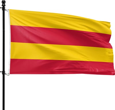 VlagDirect - Heemstede vlag - Gemeente Heemstede vlag - 90 x 150 cm.