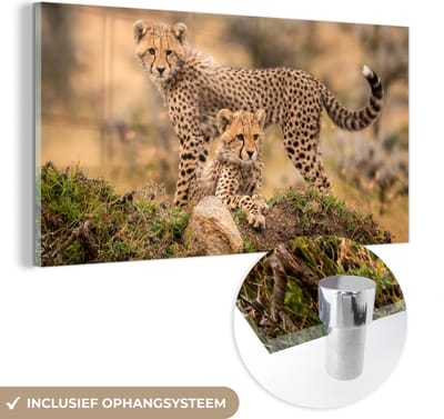 MuchoWow® Glasschilderij 40x20 cm - Schilderij acrylglas - Luipaard - Jong - Natuur - Foto op glas - Schilderijen