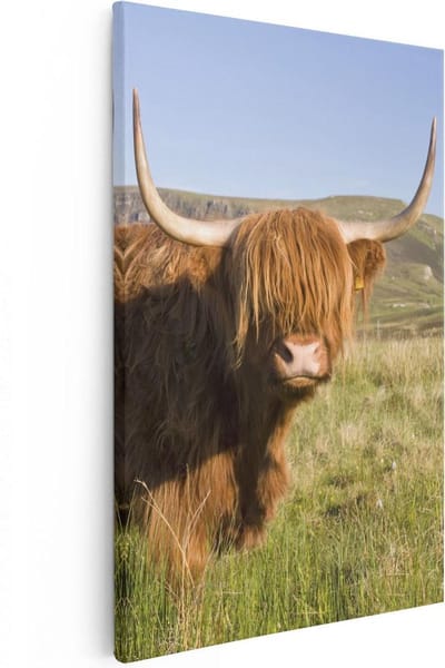 Artaza Canvas Schilderij Hooglander - 20x30 cm - Klein - Wanddecoratie Gewei - Muurdecoratie Natuur - Kamer Accessoires