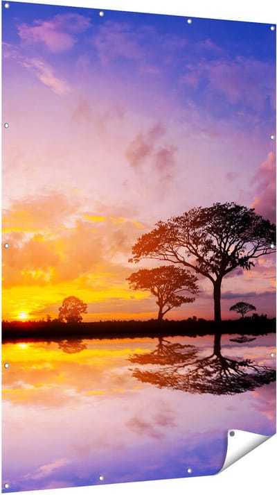 Gards Tuinposter Silhouet van Bomen tijdens Zonsondergang - 120x180 cm - Tuindoek - Tuindecoratie - Wanddecoratie buiten - Tuinschilderij