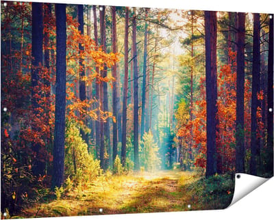 Gards Tuinposter Herfstbos met Zonneschijn - Kleur - 150x100 cm - Tuindoek - Tuindecoratie - Wanddecoratie buiten - Tuinschilderij