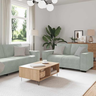 vidaXL - 2-delige - Loungeset - met - kussens - fluweel - lichtgrijs