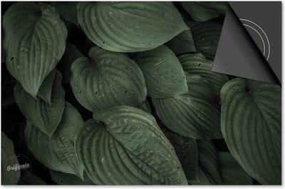 Inductie beschermer 60x60 - afdekplaat inductie mat - Dietrix Kookplaat beschermer - Exclusief - Leaves - 23 Groene ovalen bladeren