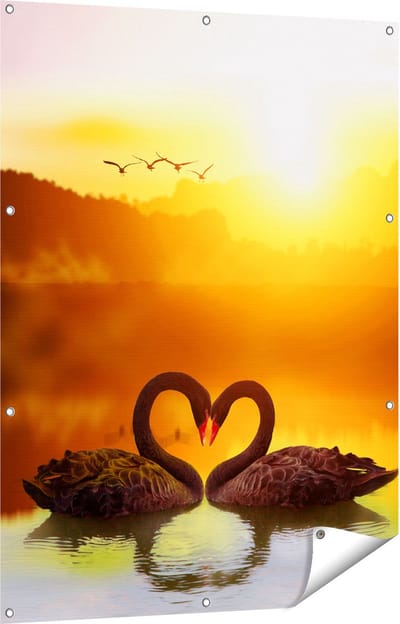 Gards Tuinposter Twee Zwarte Zwanen in een Hart Vorm - 90x120 cm - Tuindoek - Tuindecoratie - Wanddecoratie buiten - Tuinschilderij