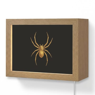 Wandlamp 20x15 cm - Oplaadbaar - Spin - Goud - Minimalistisch - Poten - Wandlampen binnen woonkamer - Slaapkamer lamp met kabel - Decoratieve nachtlamp - Vloerlamp snoer