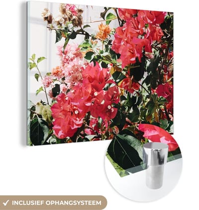 MuchoWow® Glasschilderij 160x120 cm - Schilderij acrylglas - Bloemen - Struik - Zomer - Roze - Foto op glas - Schilderijen