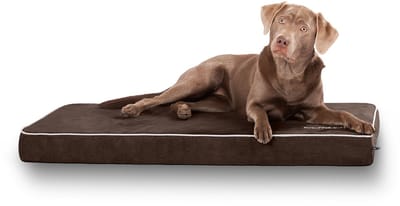 Knuffelwuff hondenmat Maui van velours met 9 cm schuimstof bruin XXL 110 x 66
