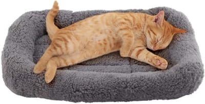 Famanu – Zacht kattenkussen met zelfverwarmende werking, antislip bodem, geschikt voor katten en puppy’s