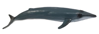 PIA Soft Toys - Speelfiguur Walvis - 15 cm