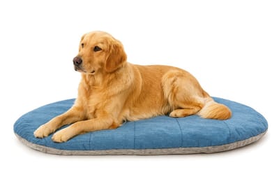 HiPet® Hondenmand / Hondenkussen / Hondenbed – Omkeerbaar & Waterdicht (91x65 cm) - Blauw