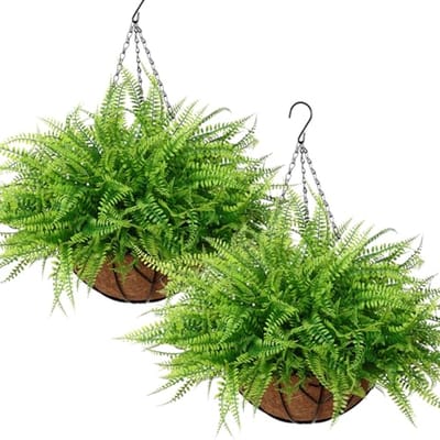 Hangende Kunstplanten met Mand - Set van 2 Kunstmatige Varen voor Balkon en Tuin Decoratie