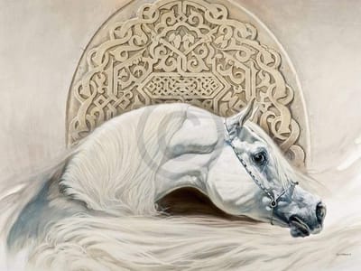 Kunstdruk Renato Casaro - Arabian Pride 80x60cm