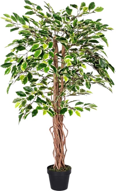 Homescapes Kunst Ficusboom 120 cm – Bonte Kunstplant met Echte Houten Stam & Lifelike Variegated Bladeren – Inclusief Pot – Binnen Decoratie