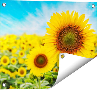 Gards Tuinposter Zonnebloemen Veld - 50x40 cm - Tuindoek - Tuindecoratie - Wanddecoratie buiten - Tuinschilderij
